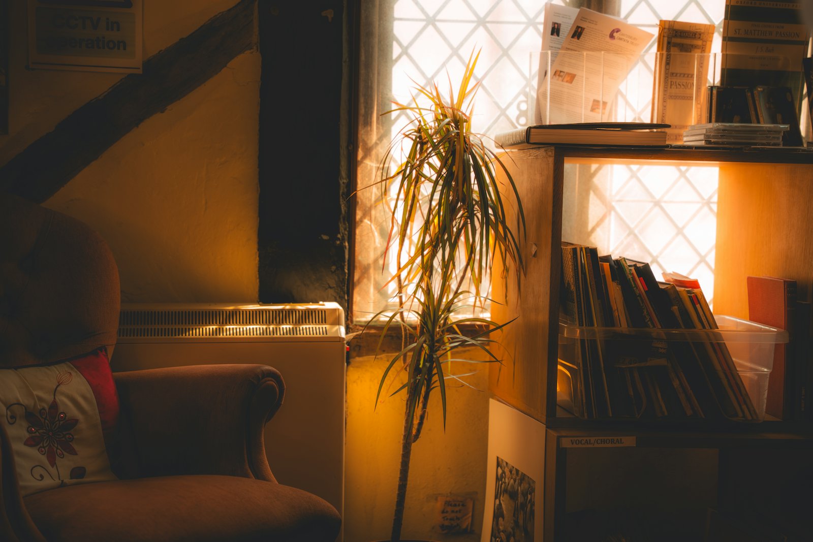 A sunlit room with a screen carrying a call-for-help button